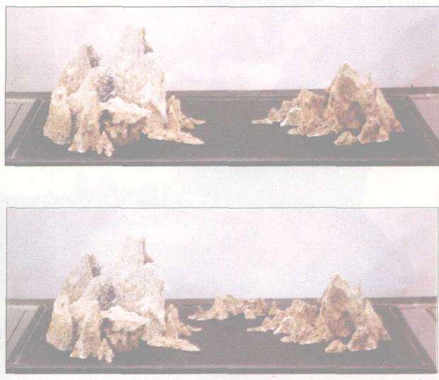 图解 山石盆景《峡江冬日》怎么创作札记