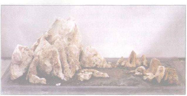 图解 山石盆景《峡江冬日》怎么创作札记