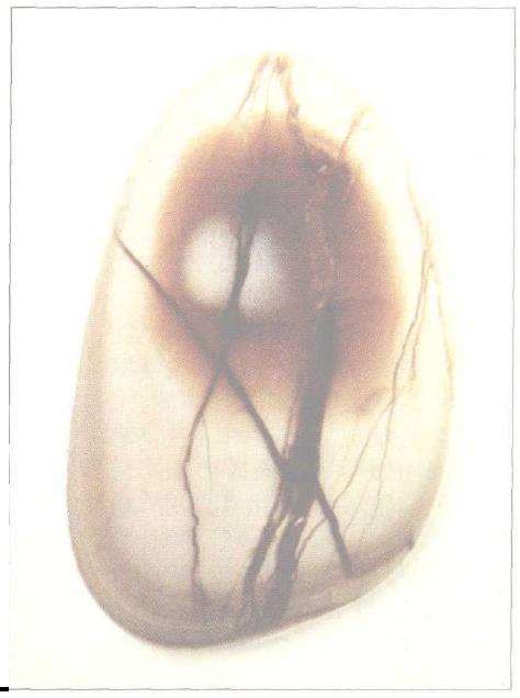 中国首届雨花石精品大展