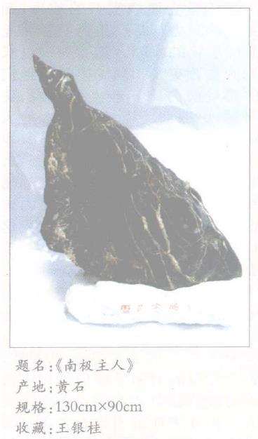 菊花石必须具备以下5条标准12