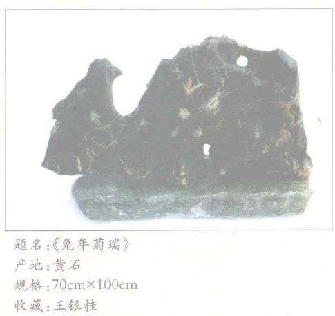 菊花石必须具备以下5条标准