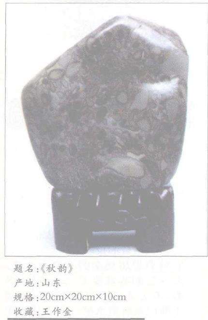 竹叶青石虽具纹样型 但石表面外衣粗糙4