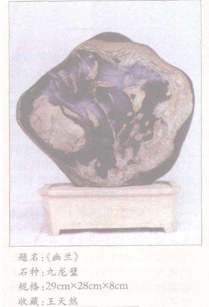 九龙璧奇石的质与其它奇石相比更为突出2