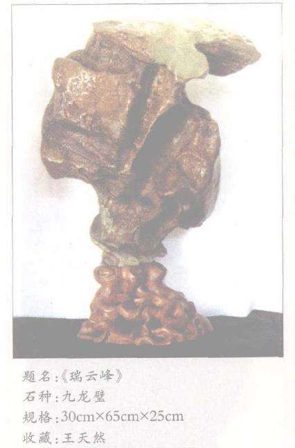 九龙璧奇石的质与其它奇石相比更为突出