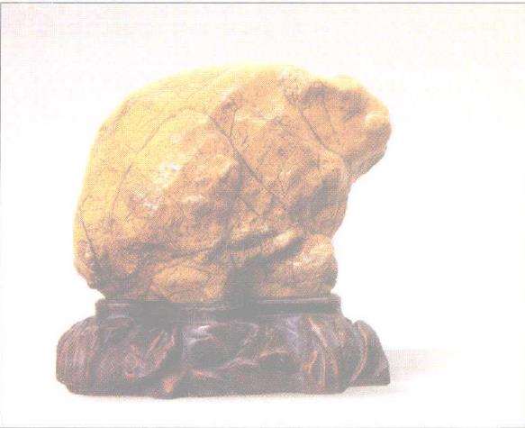 1999年 台北第五届亚太盆栽展