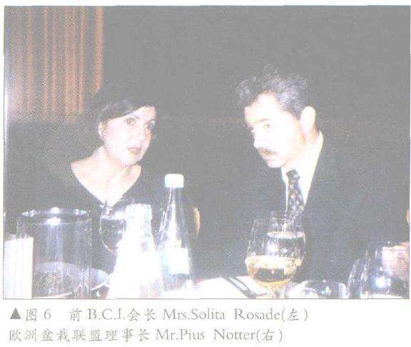 1999年 台北第五届亚太盆栽展