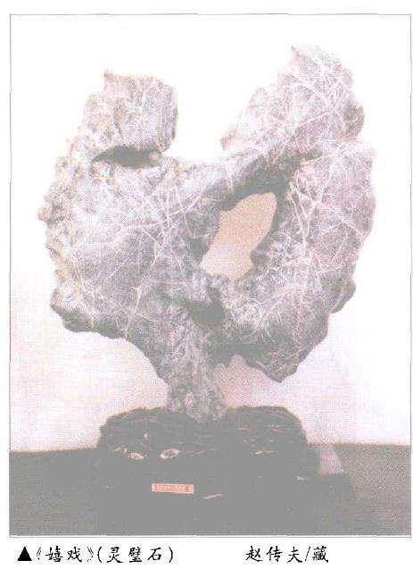 奇石的收藏欣赏中 读石是一门必修课