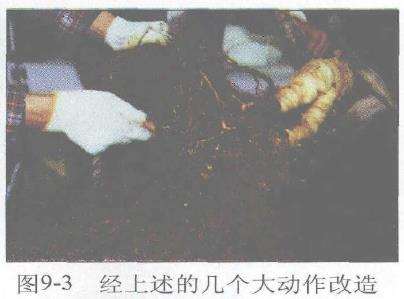 图解 赤松盆景根部怎么改造10个步骤