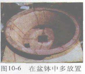 图解 赤松盆景根部怎么改造10个步骤