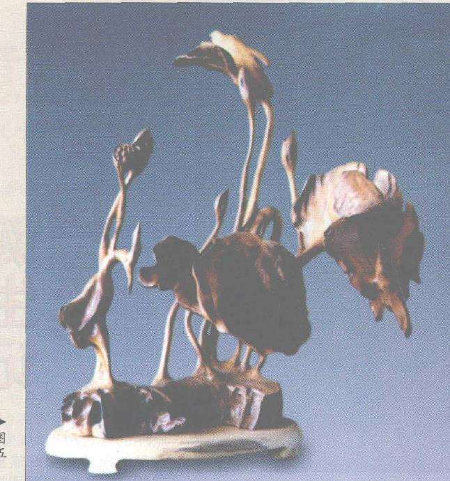枯龙木作品的4个特色2