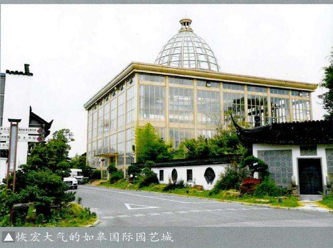 2022 如皋国际园艺城盆景直播分享中心举行