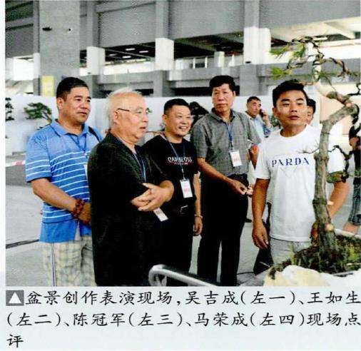 2022 如皋国际园艺城盆景直播分享中心举行