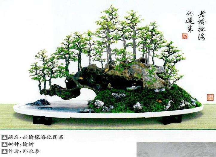 《中国盆景年鉴·2021》即将出版发行