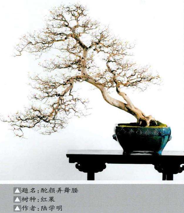 《中国盆景年鉴·2021》即将出版发行