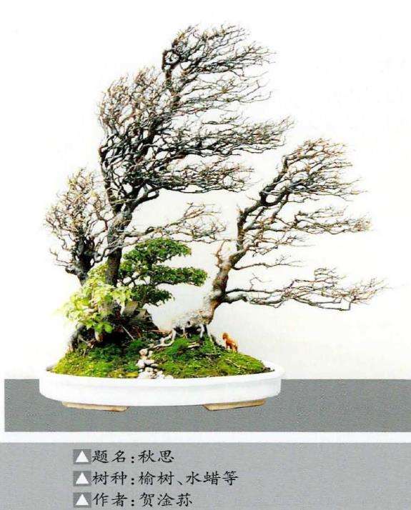 《中国盆景年鉴·2021》即将出版发行