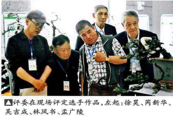 如皋2022盆景大师技艺传承展演的创作表演