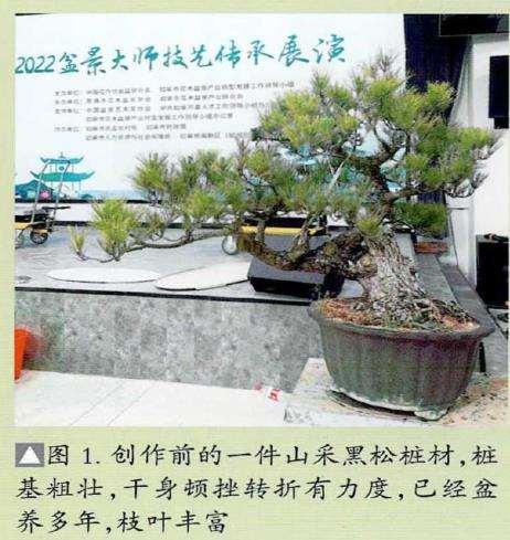 如皋2022盆景大师技艺传承展演的创作表演