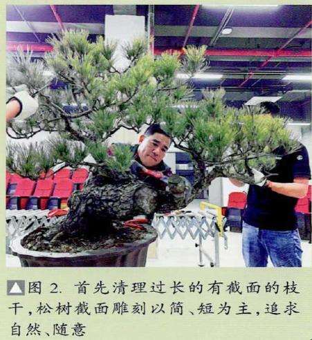 如皋2022盆景大师技艺传承展演的创作表演