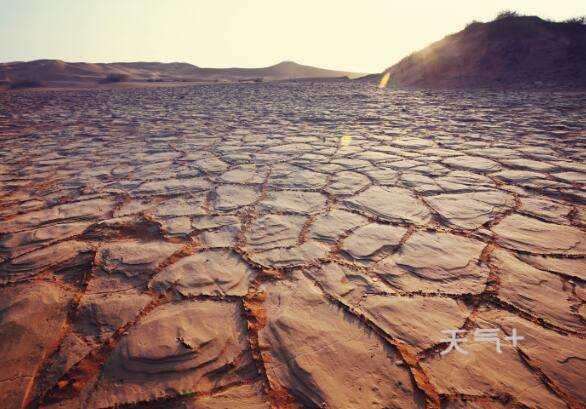 青海干旱地区林业技术推广存在的4个问题