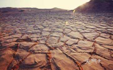 青海干旱地区林业技术推广存在的4个问题