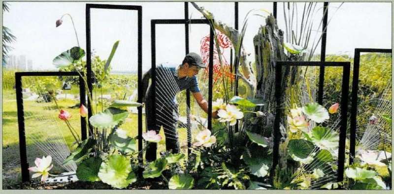 2022年 武汉荷花节 图片