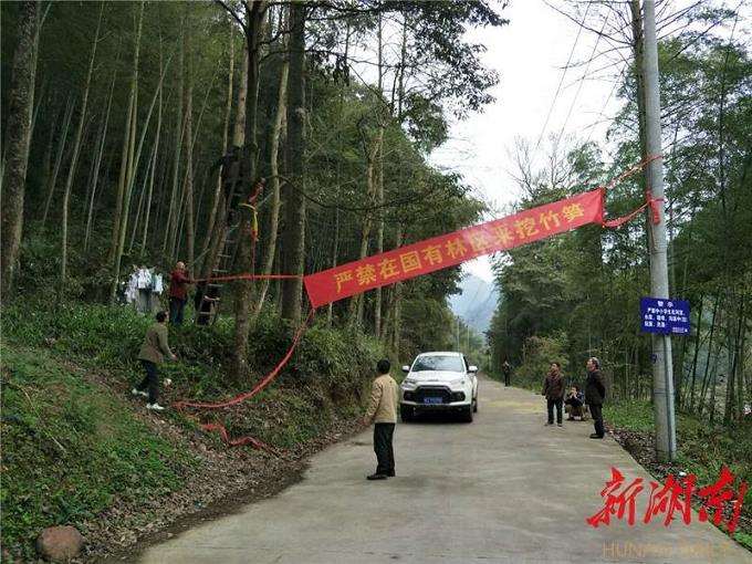 基层林业技术推广存在的3个弊端分析