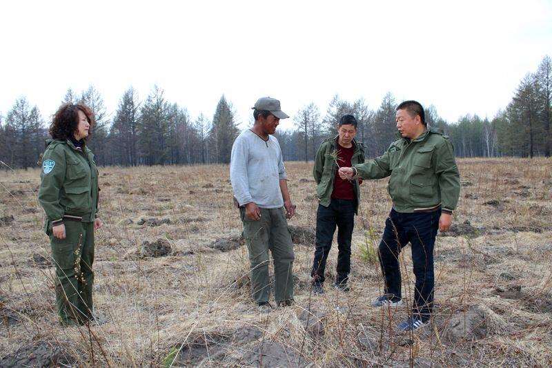 基层林业技术推广存在的3个弊端分析