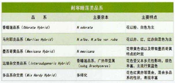 耐寒睡莲杂交品种群简介
