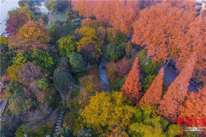 现代营林技术中的4个植物多样性保护措施