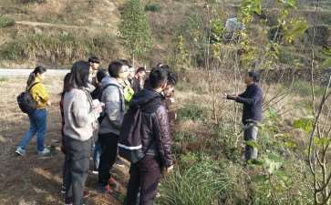 森林经营管理的4个有效策略