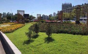 园林绿化养护的3个要点分析