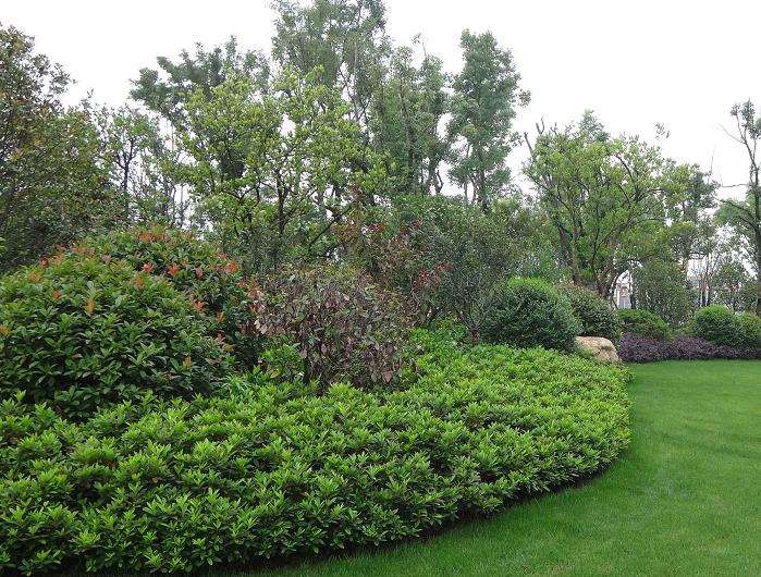 园林绿化工程怎么施工的4个要点分析