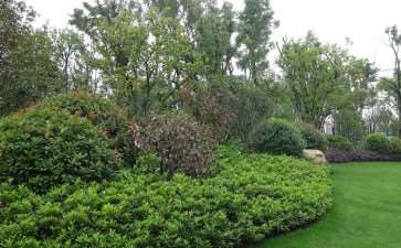 园林绿化工程怎么施工的4个要点分析