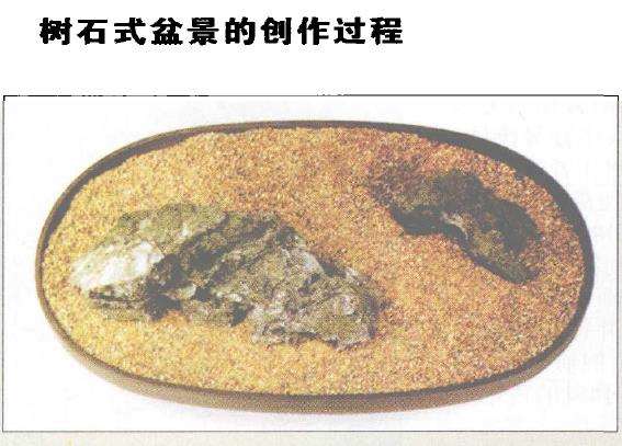 树石式盆景怎么制作的设计图