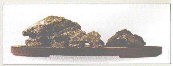 树石式盆景怎么制作的设计图