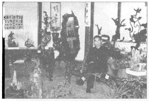 花木盆景根艺手册