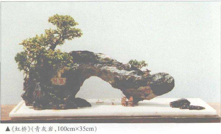 上海市盆景协会理事 汪彝鼎
