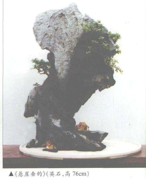 上海市盆景协会理事 汪彝鼎