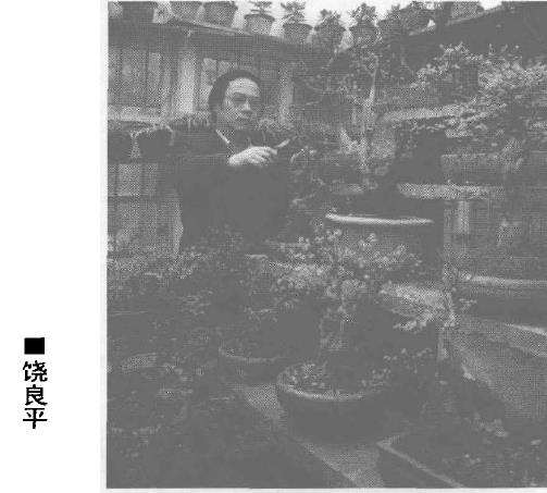 对盆景艺术的喜好与眷恋却一直蛰伏在心底