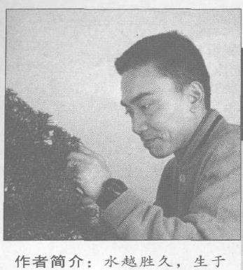 图解 露根式金采文人树盆景怎么造型的9个步骤