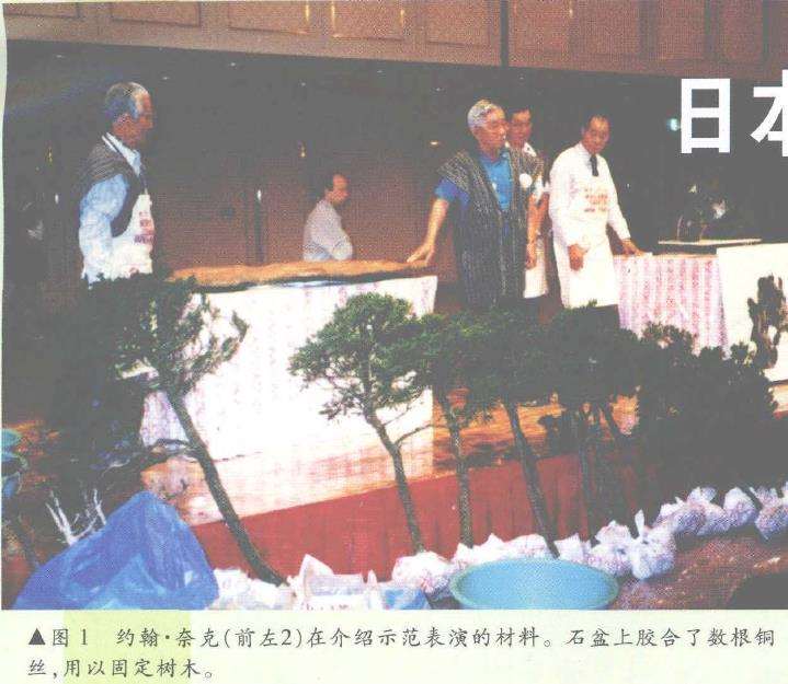图解 日本大师加藤三郎怎么制作丛林式盆景