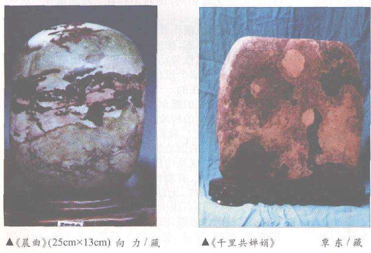 有三峡石之神韵的湖北五峰奇石3
