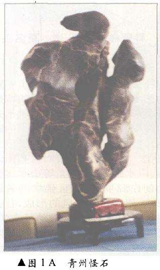 盆景艺术产生的历史背景有哪些