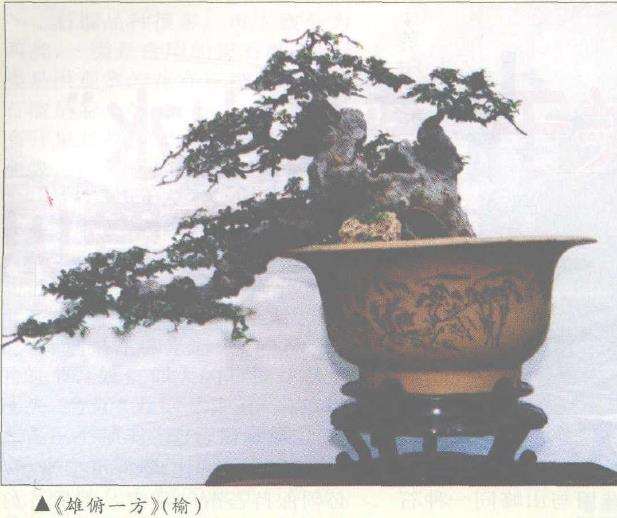 仲济南谈王恒亮盆景艺术 图片