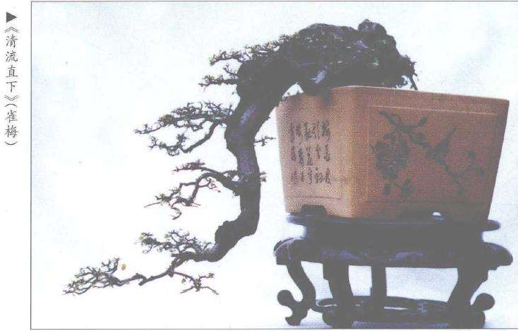 仲济南谈王恒亮盆景艺术 图片