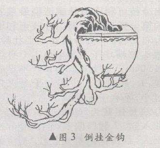 悬崖盆景怎么造型的10个方法 图片