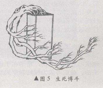 悬崖盆景怎么造型的10个方法 图片