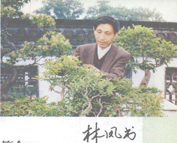 中国盆景艺术家协会常务理事 林凤书