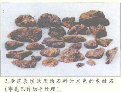 图解 美国盆栽大会制作水旱盆景的12个过程