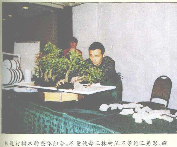 图解 美国盆栽大会制作水旱盆景的12个过程